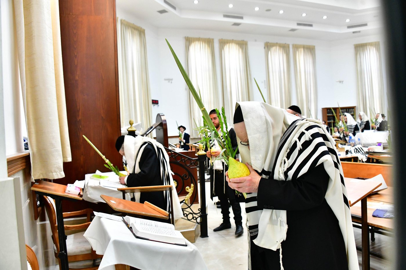 הגאון רבי דב לנדו והגאון רבי משה הלל הירש  בנטילת לולב | צילום: שוקי לרר