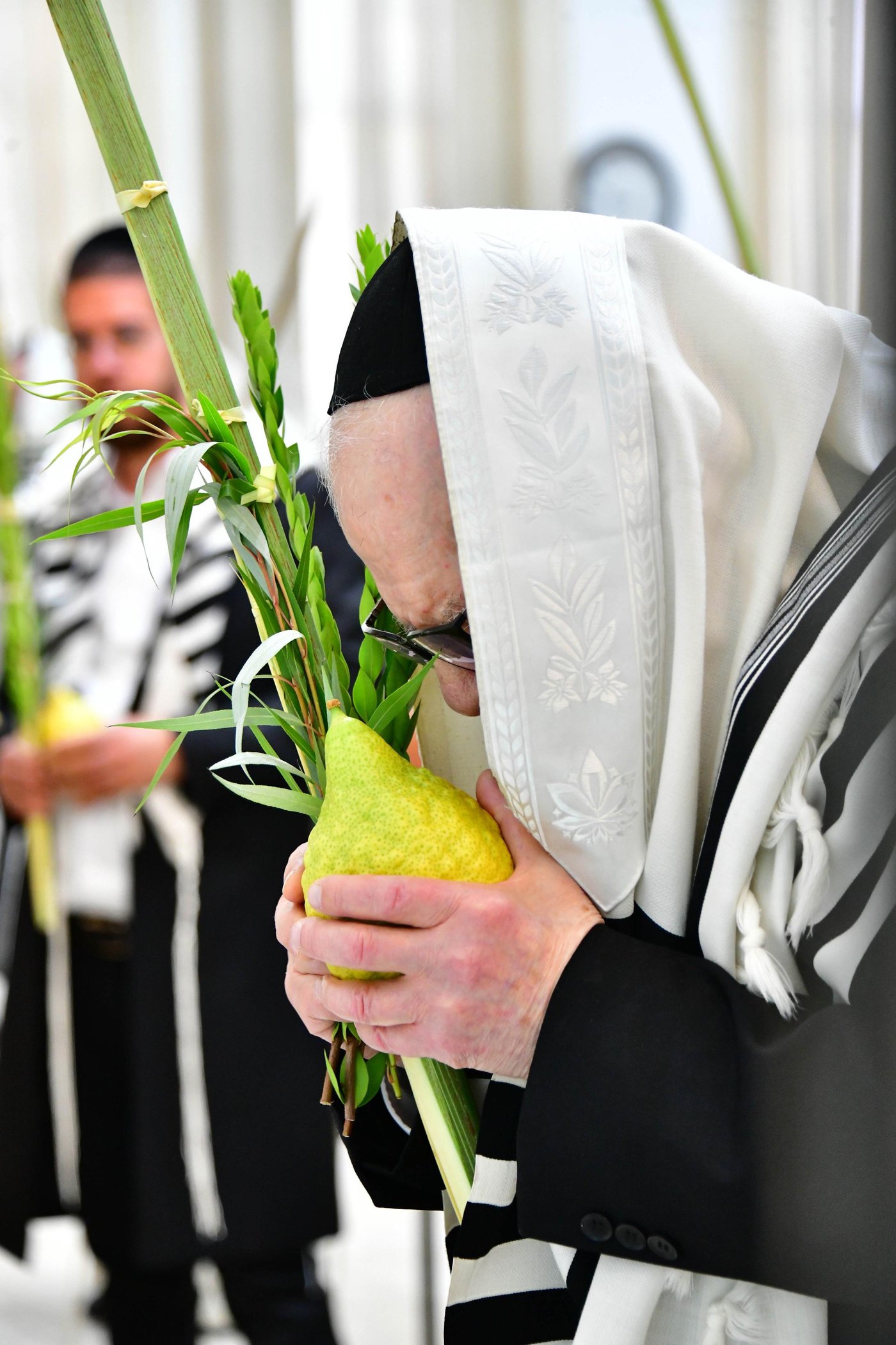 הגאון רבי דב לנדו  והגאון רבי משה הלל הירש בנטילת לולב | צילום: שוקי לרר