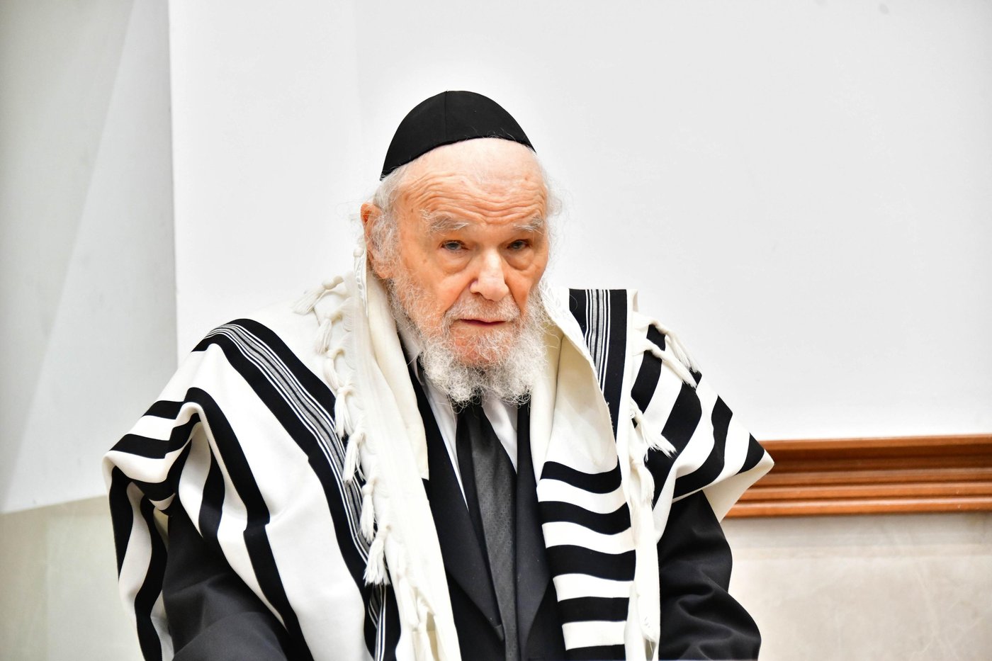הגאון רבי דב לנדו והגאון רבי משה הלל הירש  בנטילת לולב | צילום: שוקי לרר