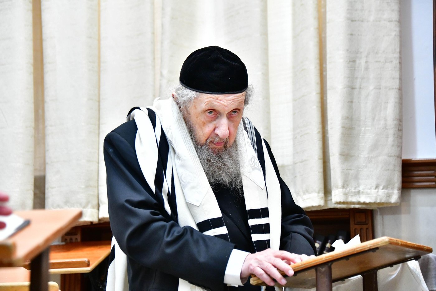 הגאון רבי דב לנדו והגאון רבי משה הלל הירש  בנטילת לולב | צילום: שוקי לרר