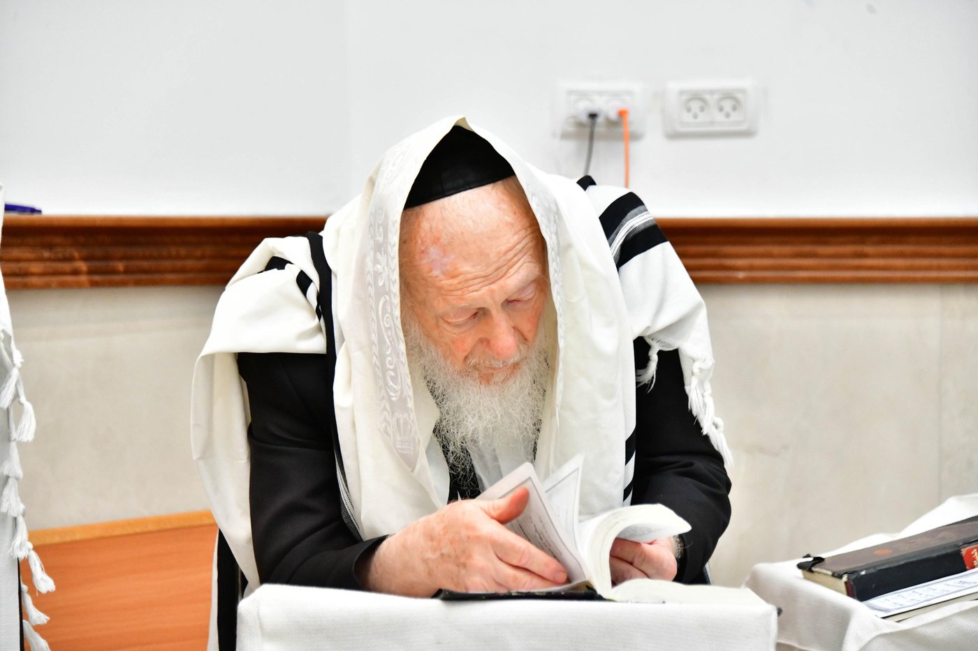 הגאון רבי דב לנדו  והגאון רבי משה הלל הירש בנטילת לולב | צילום: שוקי לרר