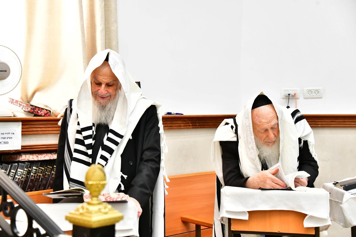 הגאון רבי דב לנדו  והגאון רבי משה הלל הירש  בנטילת לולב | צילום: שוקי לרר
