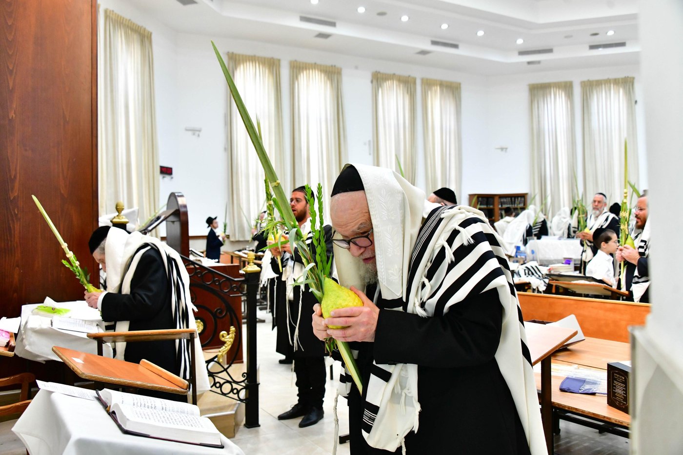 הגאון רבי דב לנדו  והגאון רבי משה הלל הירש  בנטילת לולב | צילום: שוקי לרר