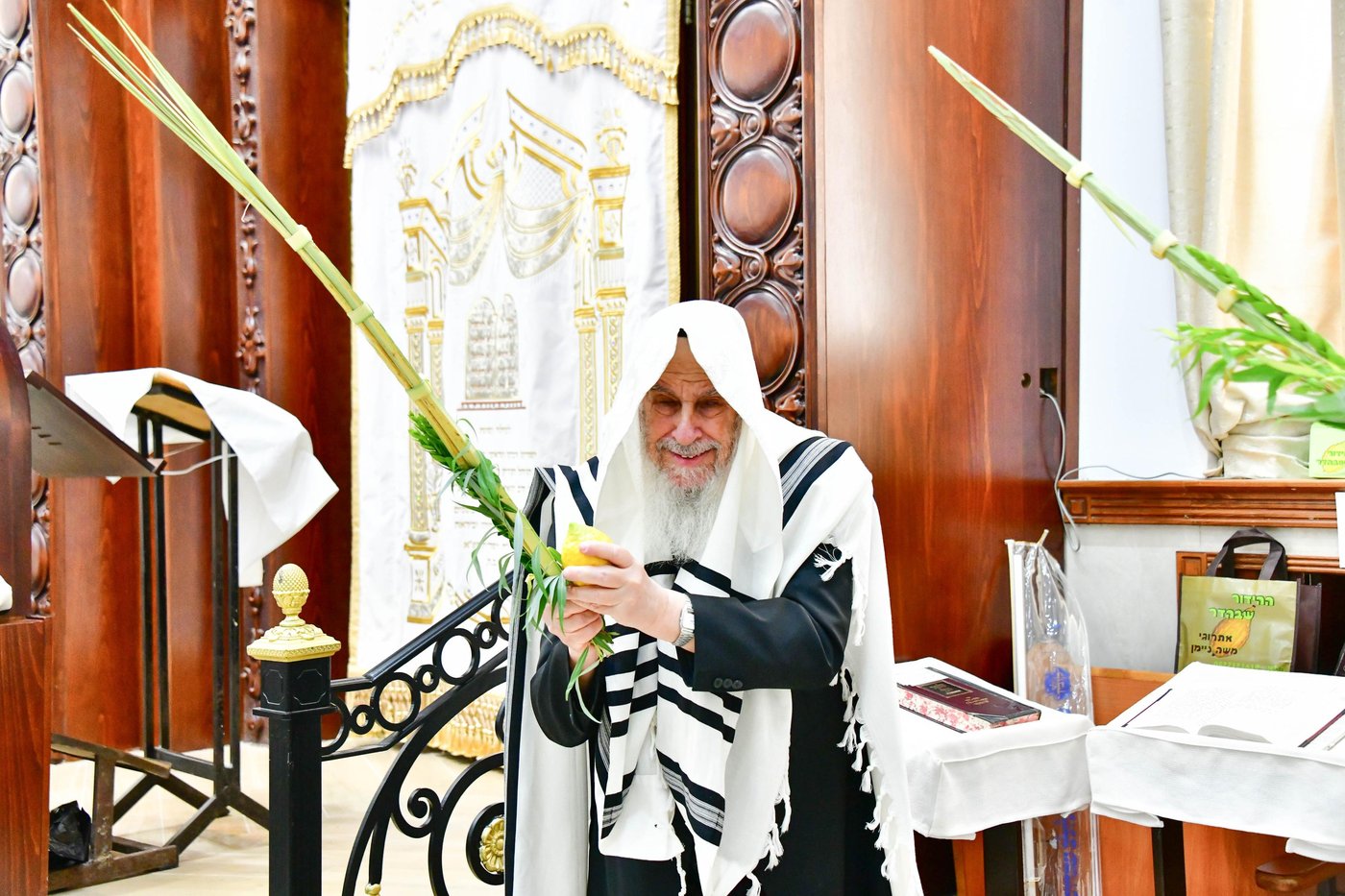 הגאון רבי דב לנדו והגאון רבי משה הלל הירש  בנטילת לולב | צילום: שוקי לרר