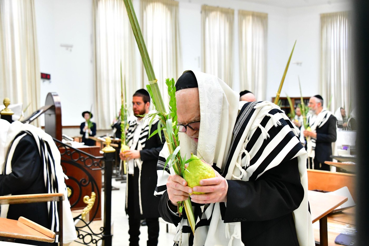 הגאון רבי דב לנדו  והגאון רבי משה הלל הירש  בנטילת לולב | צילום: שוקי לרר