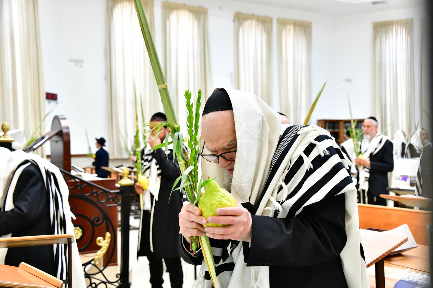 הגאון רבי דב לנדו  והגאון רבי משה הלל הירש בנטילת לולב | צילום: שוקי לרר