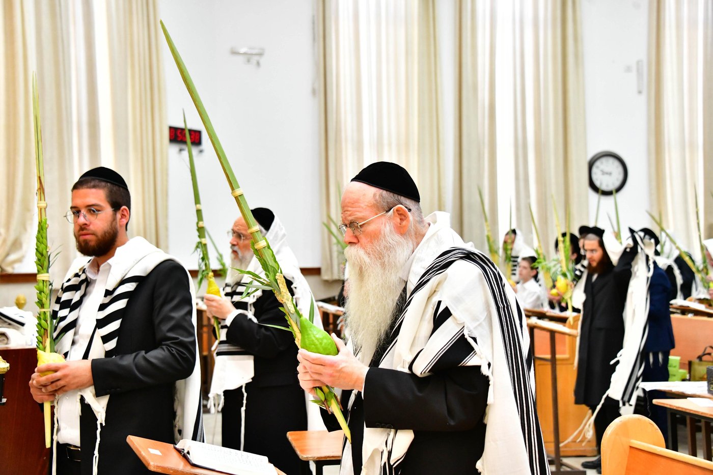 הגאון רבי דב לנדו  והגאון רבי משה הלל הירש בנטילת לולב | צילום: שוקי לרר