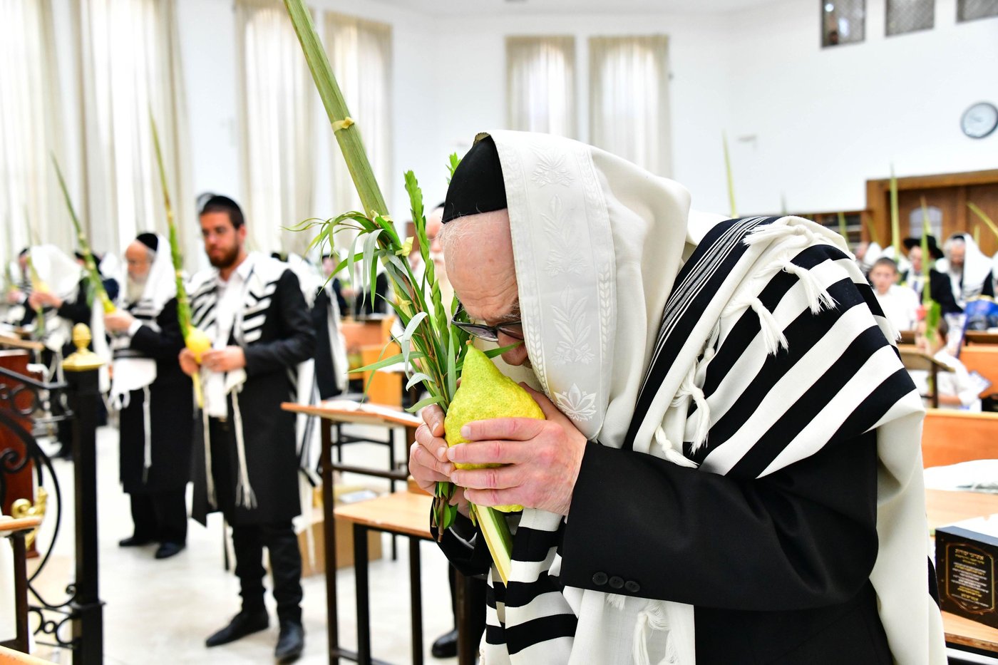 הגאון רבי דב לנדו והגאון רבי משה הלל הירש בנטילת לולב | צילום: שוקי לרר