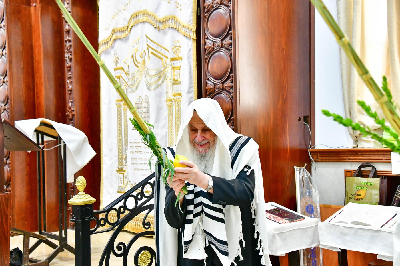 הגאון רבי דב לנדו  והגאון רבי משה הלל הירש  בנטילת לולב | צילום: שוקי לרר
