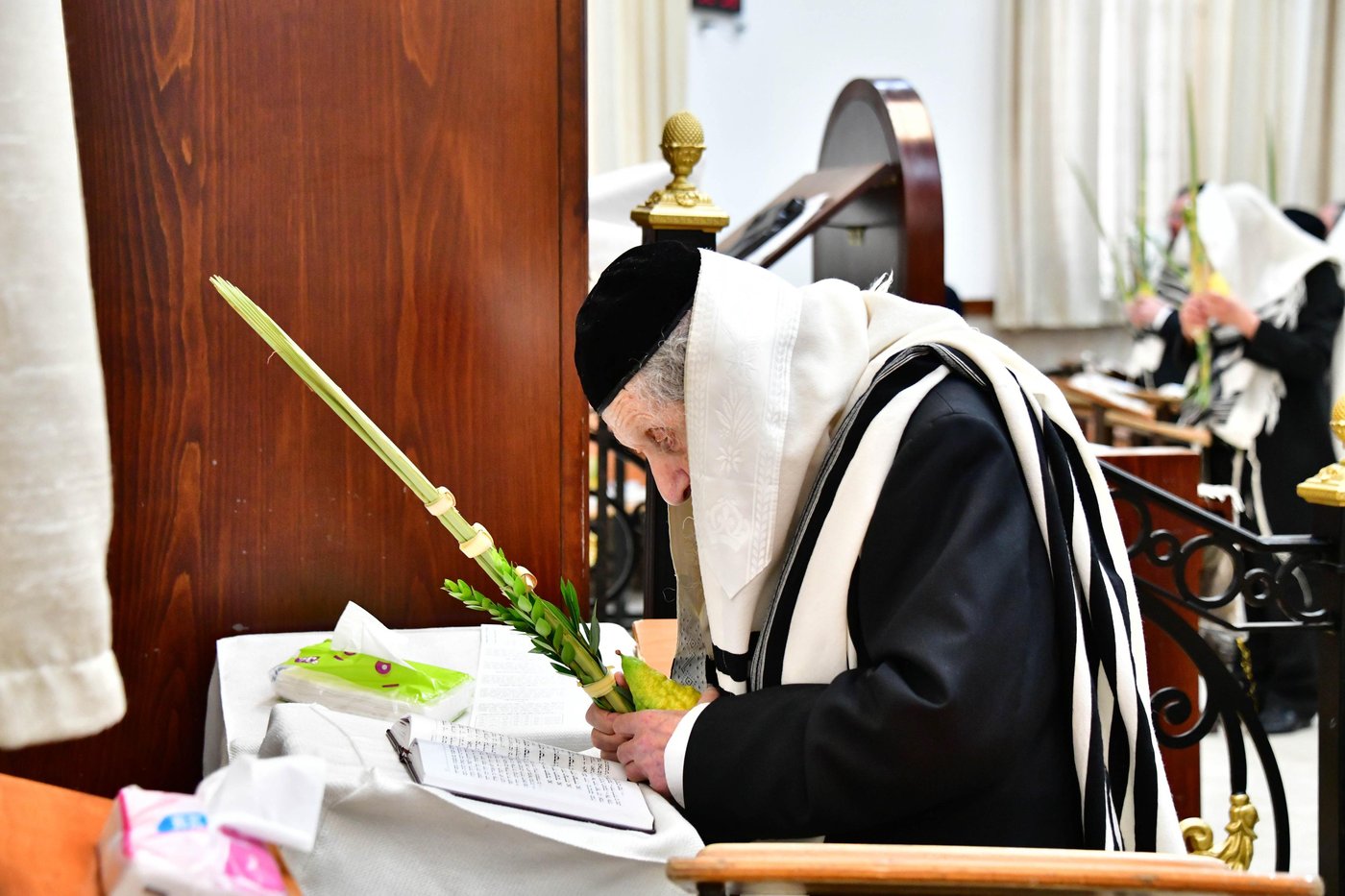 הגאון רבי דב לנדו והגאון רבי משה הלל הירש  בנטילת לולב | צילום: שוקי לרר