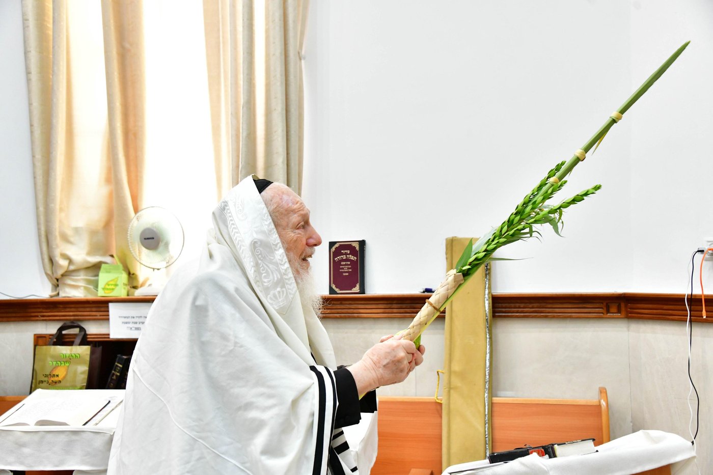 הגאון רבי דב לנדו שליט"א והגאון רבי משה הלל הירש שליט"א בנטילת לולב | צילום: שוקי לרר