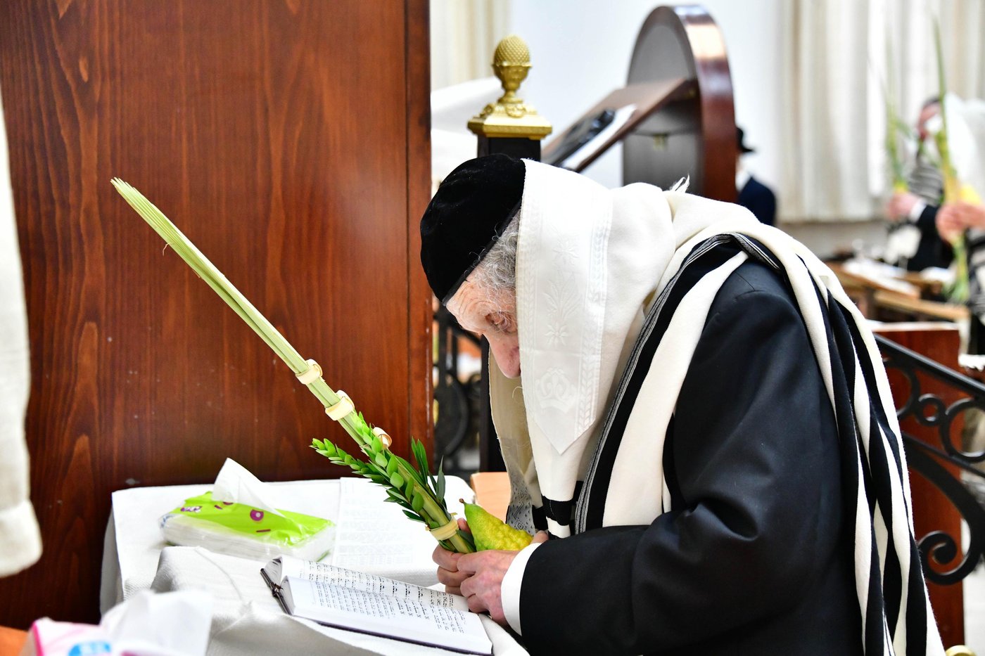 הגאון רבי דב לנדו והגאון רבי משה הלל הירש בנטילת לולב | צילום: שוקי לרר