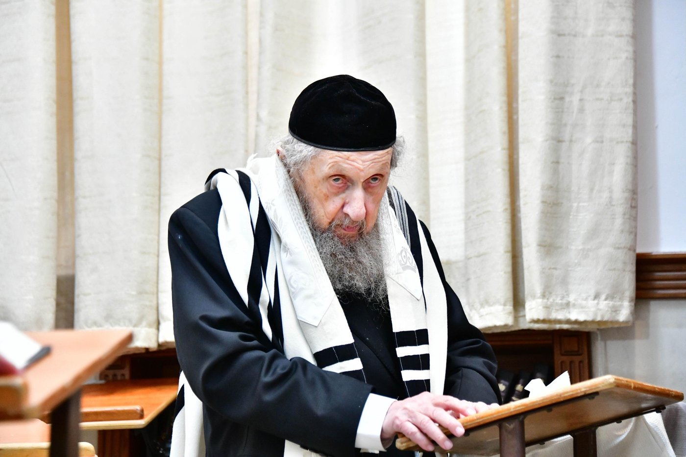 הגאון רבי דב לנדו  והגאון רבי משה הלל הירש  בנטילת לולב | צילום: שוקי לרר