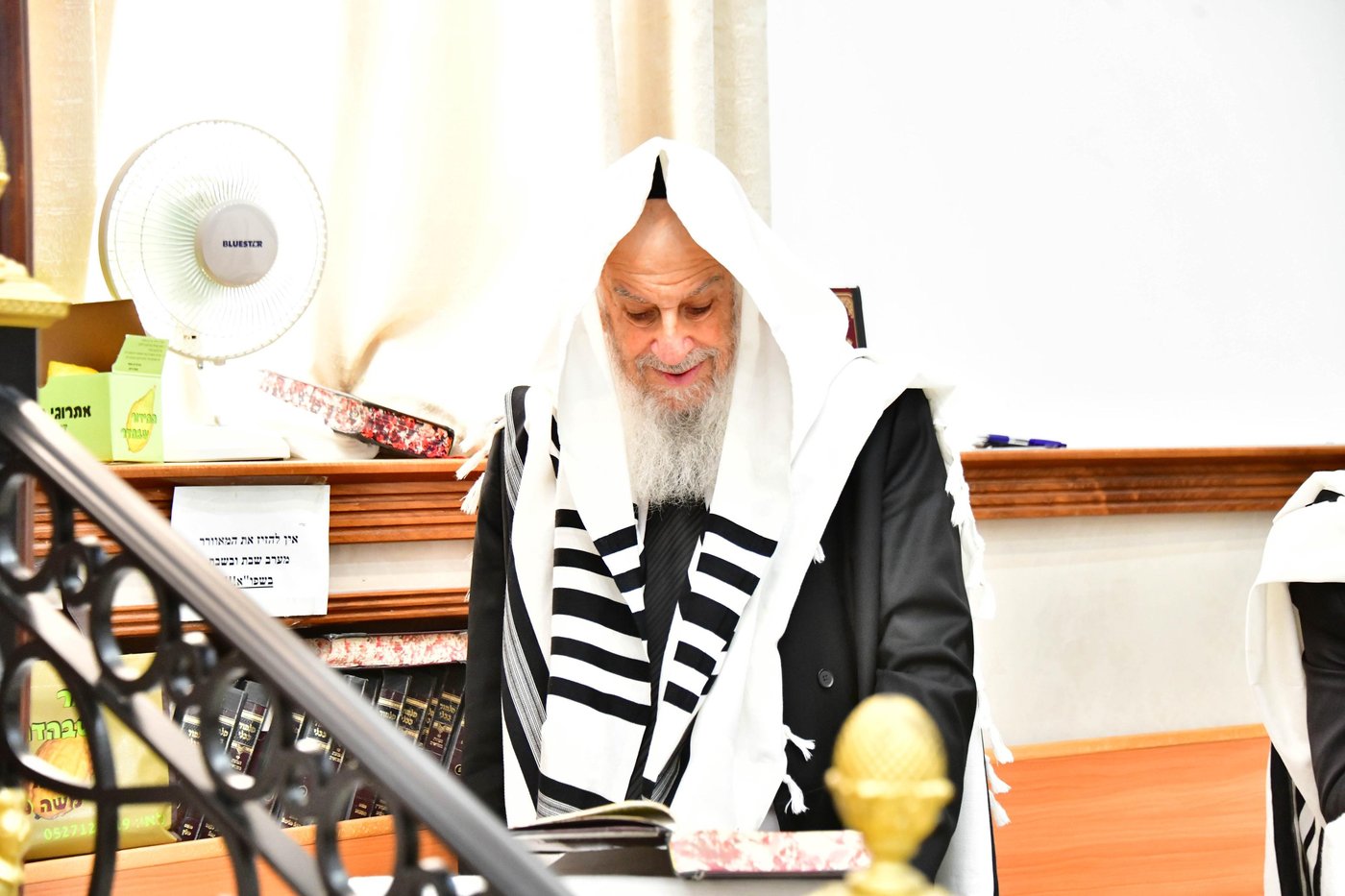 הגאון רבי דב לנדו  והגאון רבי משה הלל הירש בנטילת לולב | צילום: שוקי לרר