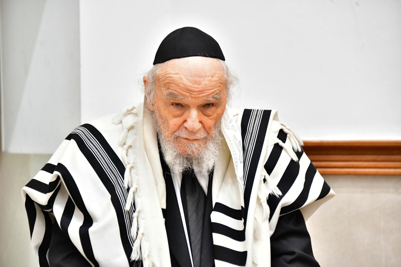 הגאון רבי דב לנדו והגאון רבי משה הלל הירש  בנטילת לולב | צילום: שוקי לרר