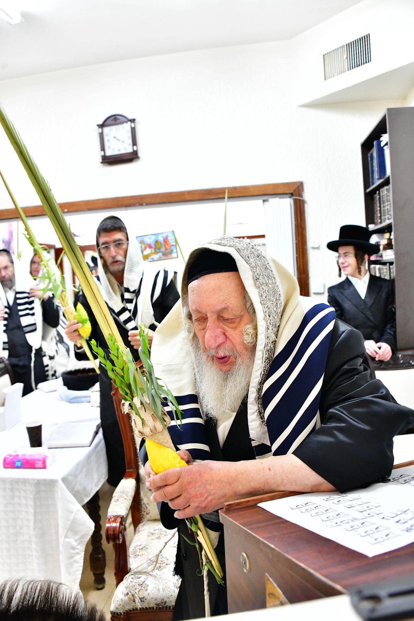 האדמו"ר מנאראל שליט"א בעבודת הנענועים | צילום: שוקי לרר