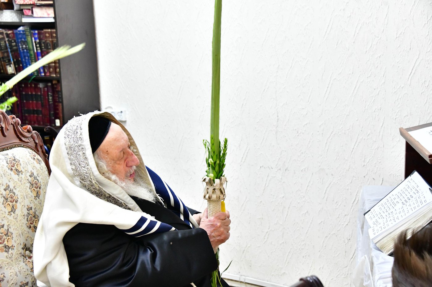 האדמו"ר מנאראל שליט"א בעבודת הנענועים | צילום: שוקי לרר