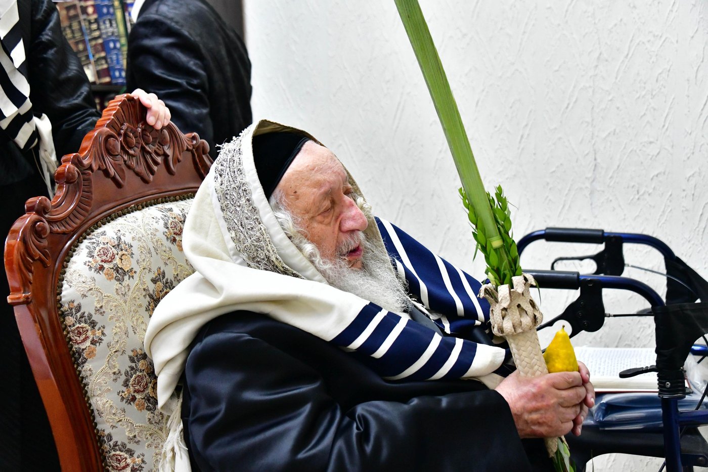 האדמו"ר מנאראל שליט"א בעבודת הנענועים | צילום: שוקי לרר