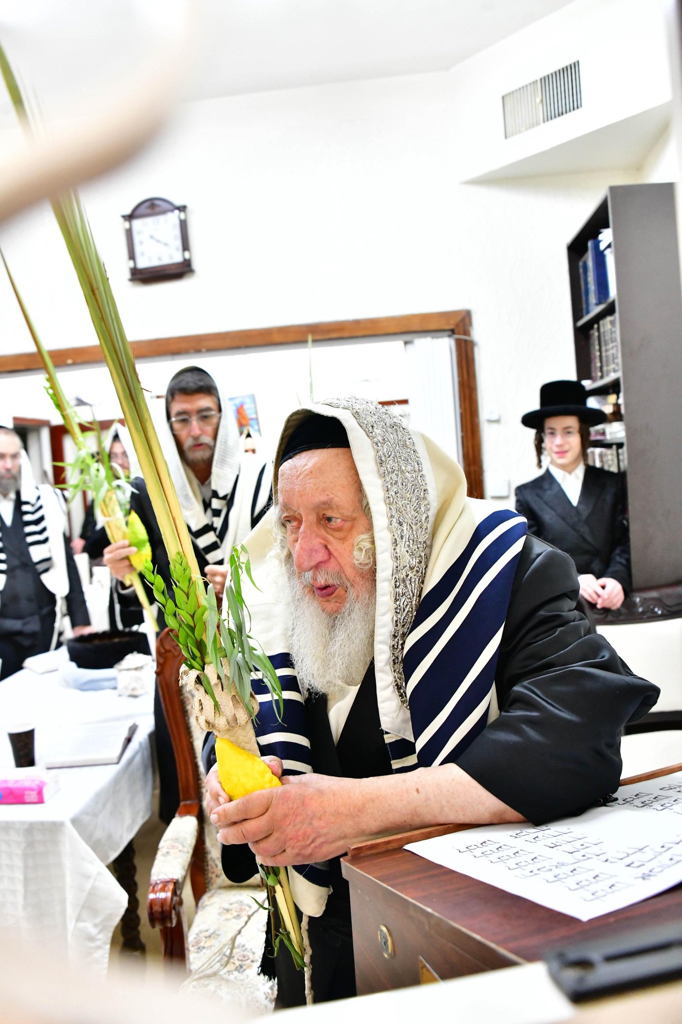 האדמו"ר מנאראל שליט"א בעבודת הנענועים | צילום: שוקי לרר