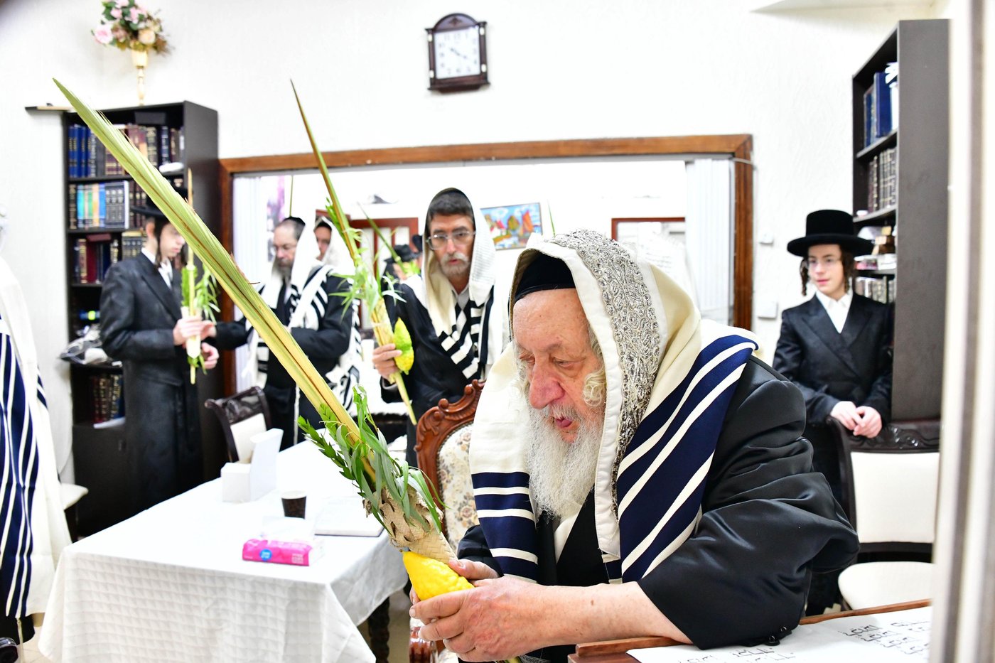 האדמו"ר מנאראל שליט"א בעבודת הנענועים | צילום: שוקי לרר