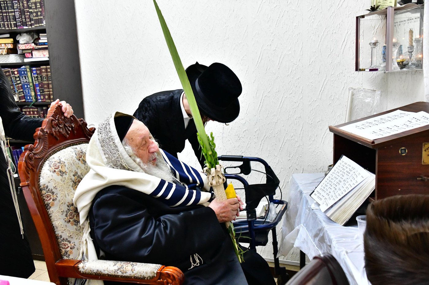 האדמו"ר מנאראל שליט"א בעבודת הנענועים | צילום: שוקי לרר