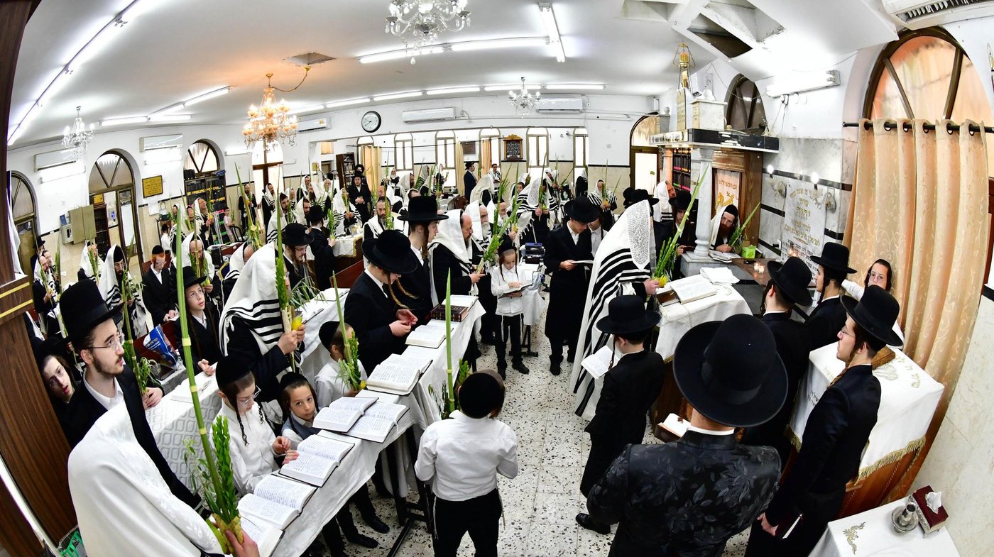האדמו"ר ממודז'יץ שליט"א בעת נטילת לולב | צילום: שוקי לרר