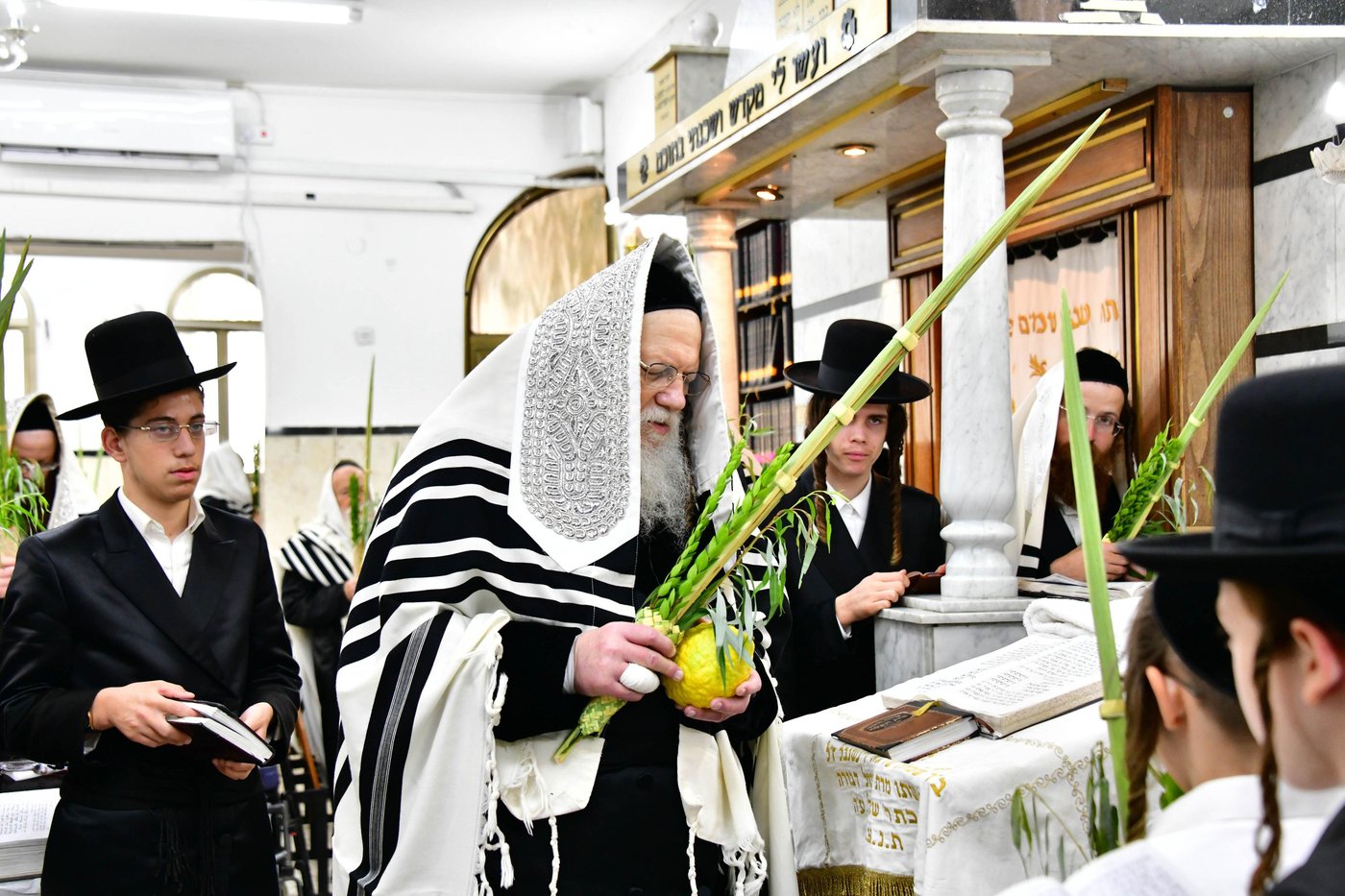 האדמו"ר ממודז'יץ שליט"א בעת נטילת לולב | צילום: שוקי לרר