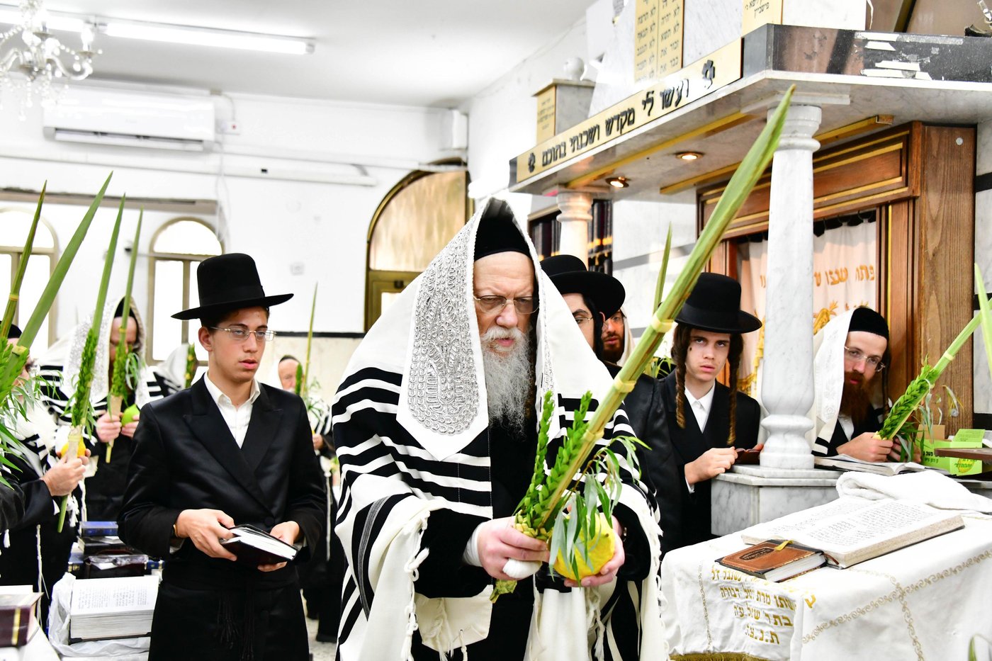 האדמו"ר ממודז'יץ שליט"א בעת נטילת לולב | צילום: שוקי לרר