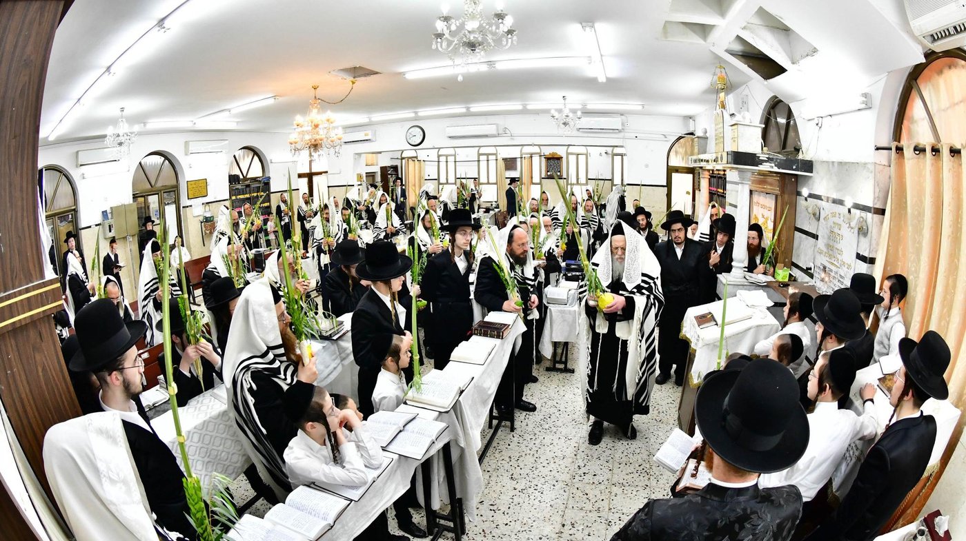 האדמו"ר ממודז'יץ שליט"א בעת נטילת לולב | צילום: שוקי לרר