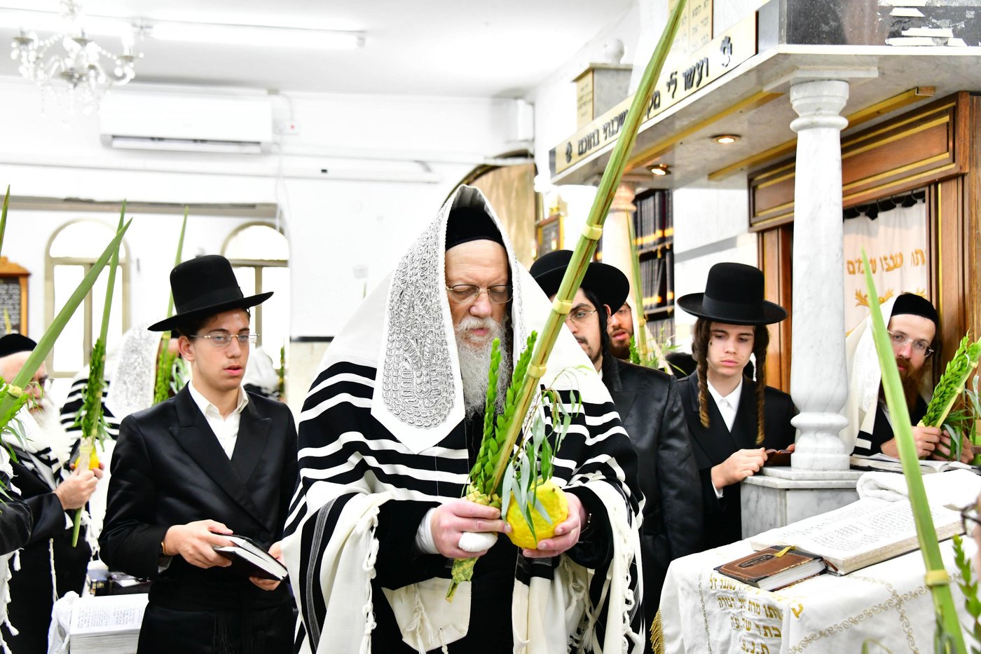 האדמו"ר ממודז'יץ שליט"א בעת נטילת לולב | צילום: שוקי לרר