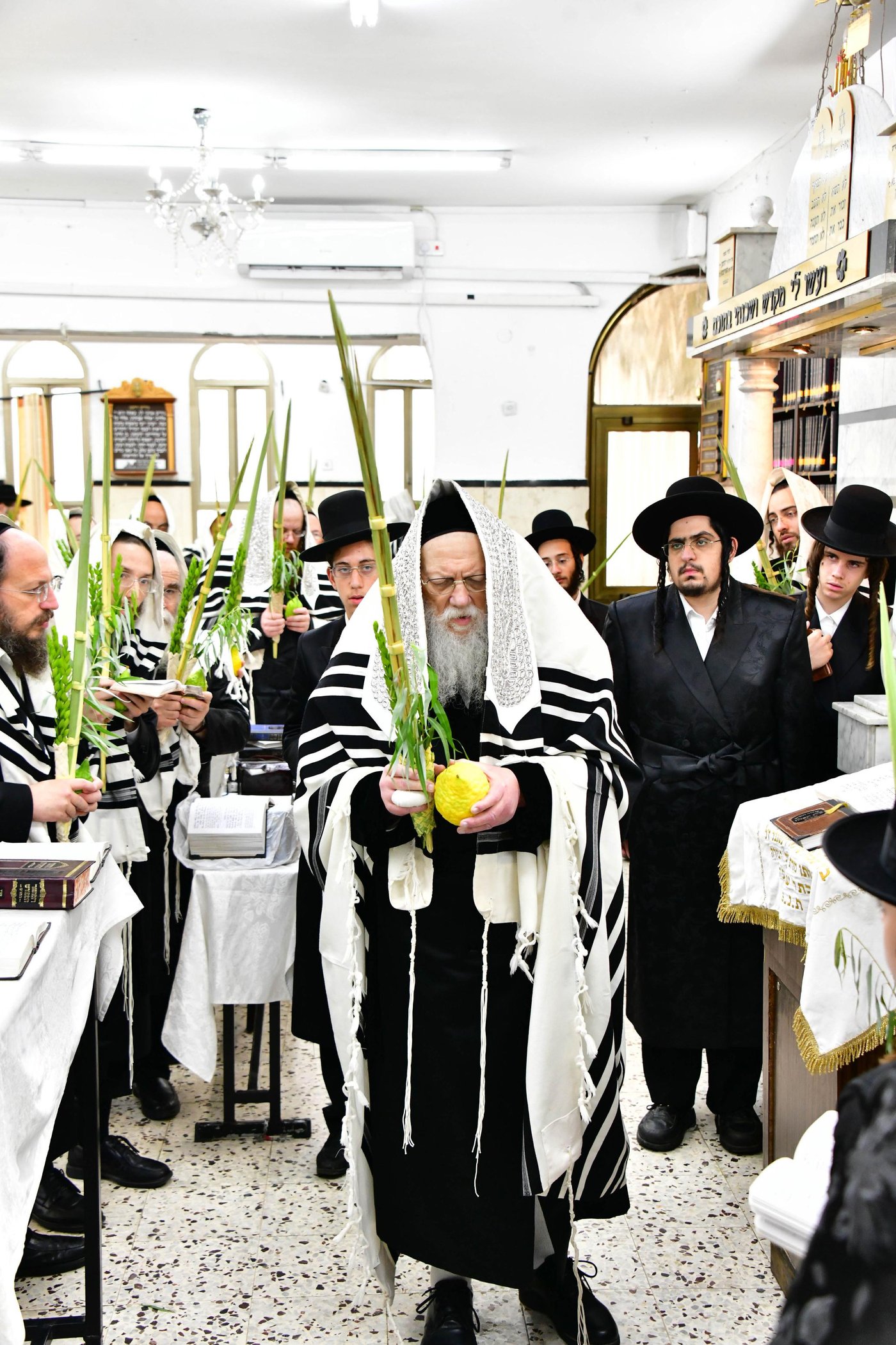 האדמו"ר ממודז'יץ שליט"א בעת נטילת לולב | צילום: שוקי לרר