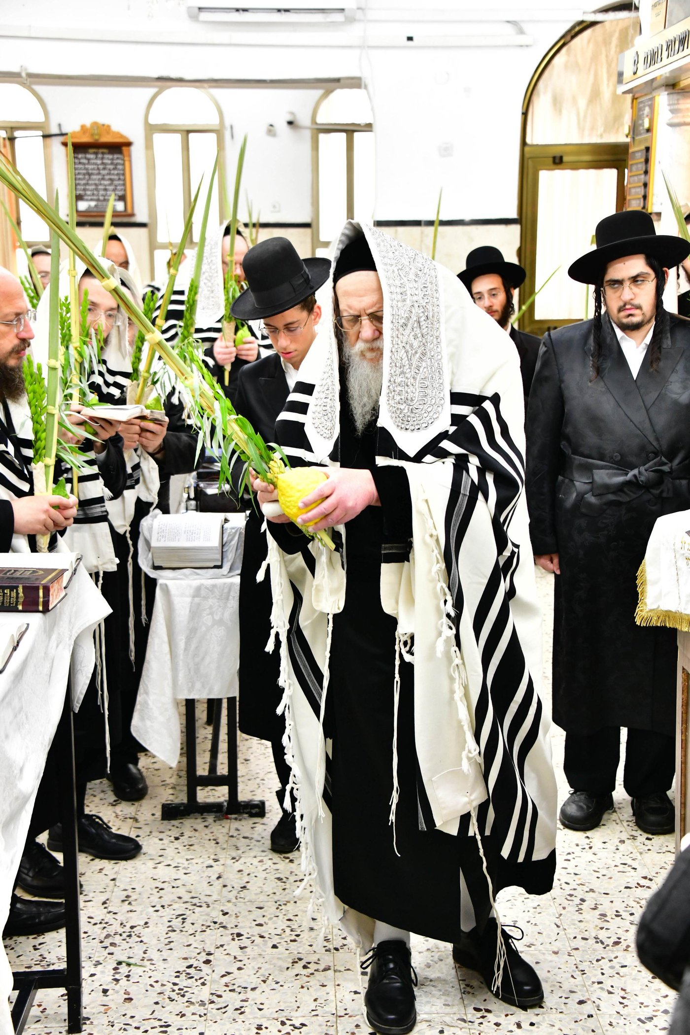 האדמו"ר ממודז'יץ שליט"א בעת נטילת לולב | צילום: שוקי לרר