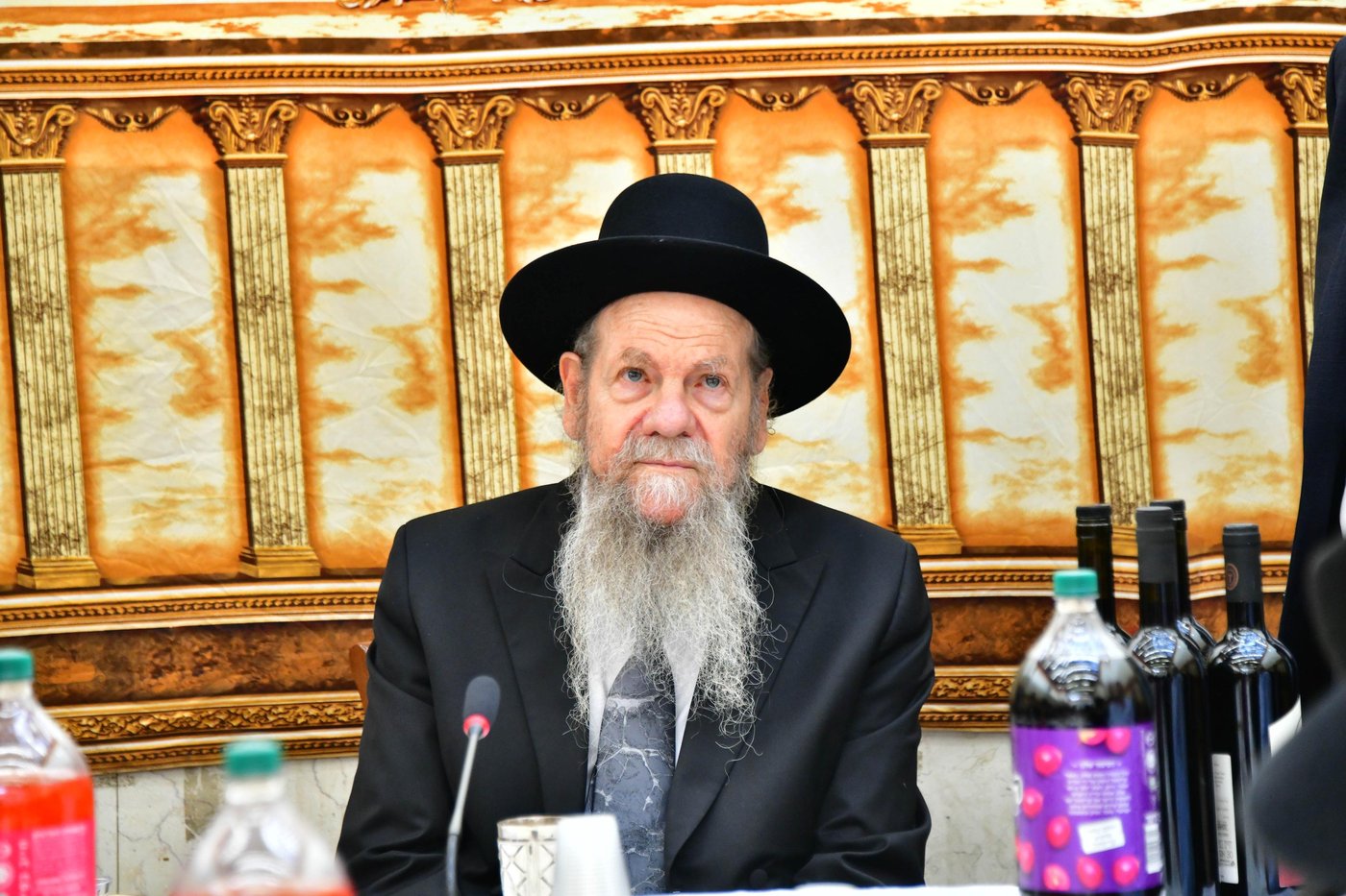 הגרמ"ש אדלשטיין שליט"א בשמחת בית השואבה | צילום: שוקי לרר