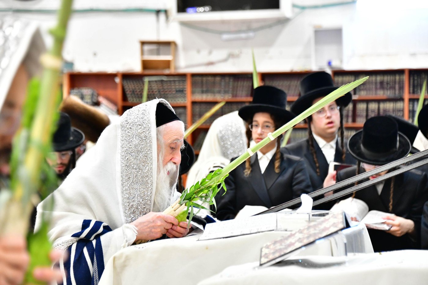 האדמו"ר ממחנובקא בעלזא שליט"א בנטילת לולב