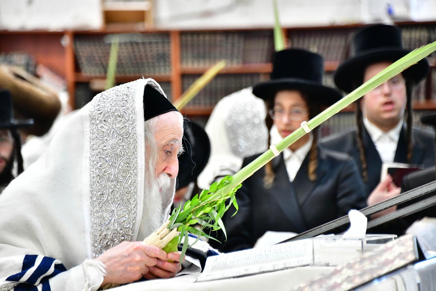 האדמו"ר ממחנובקא בעלזא שליט"א בנטילת לולב