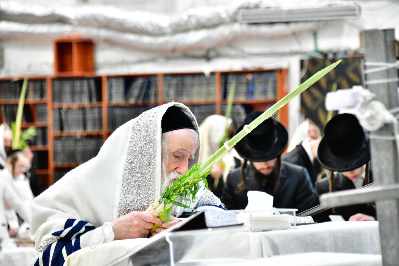 האדמו"ר ממחנובקא בעלזא שליט"א בנטילת לולב