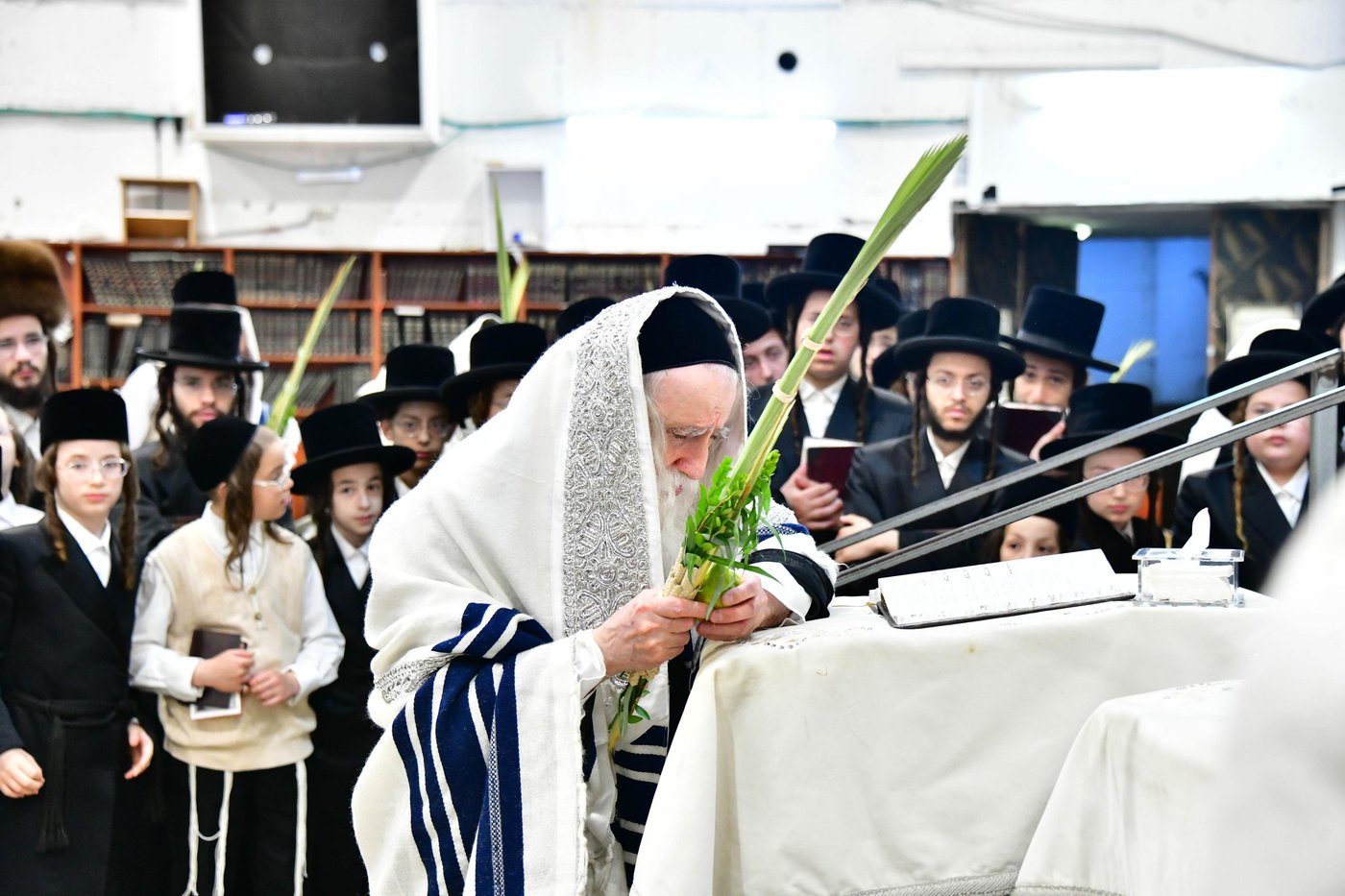 האדמו"ר ממחנובקא בעלזא שליט"א בנטילת לולב