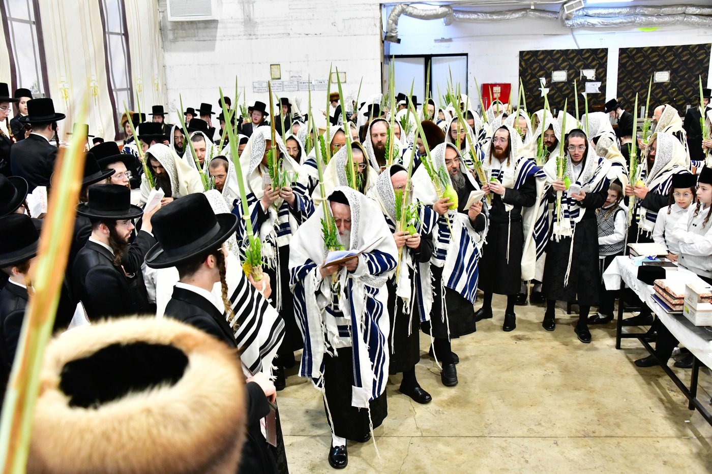 האדמו"ר ממחנובקא בעלזא שליט"א בנטילת לולב