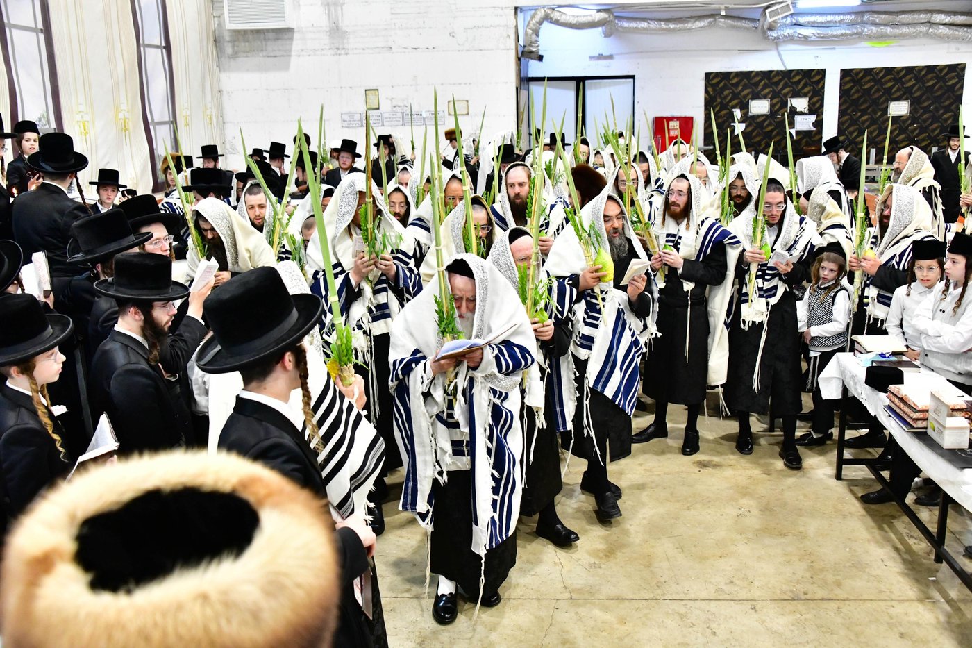 האדמו"ר ממחנובקא בעלזא שליט"א בנטילת לולב