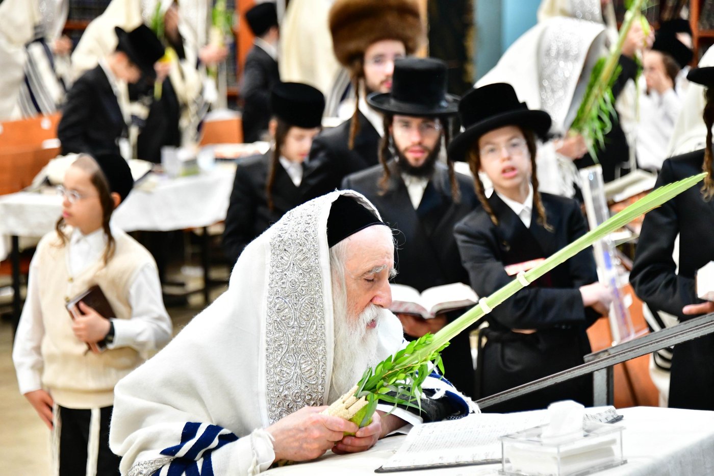 האדמו"ר ממחנובקא בעלזא שליט"א בנטילת לולב