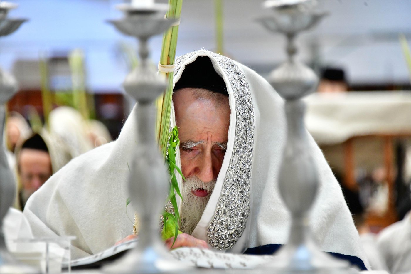 האדמו"ר ממחנובקא בעלזא שליט"א בנטילת לולב