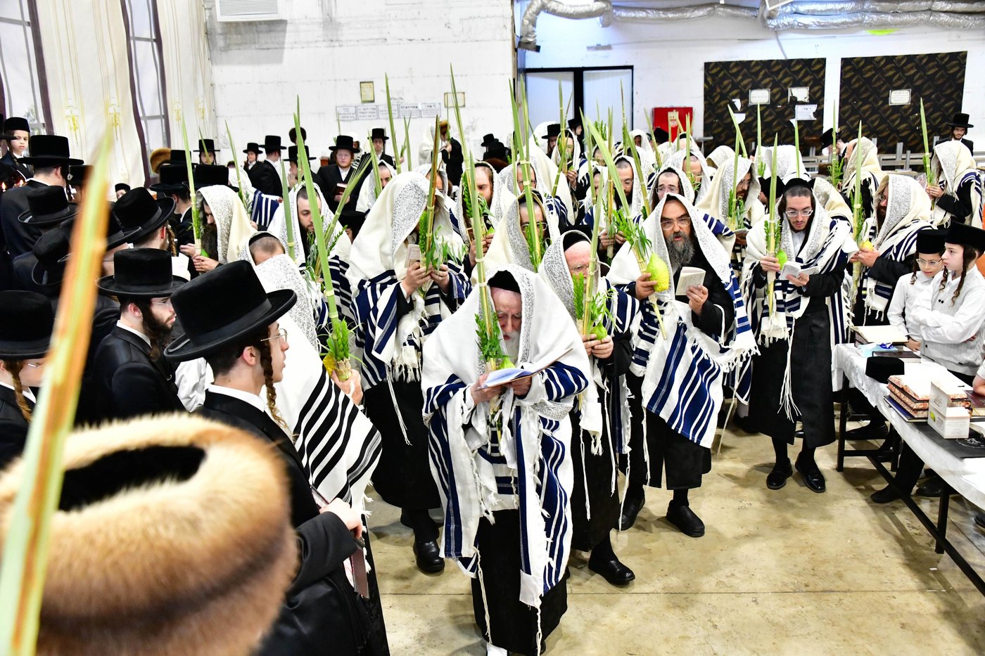 האדמו"ר ממחנובקא בעלזא שליט"א בנטילת לולב