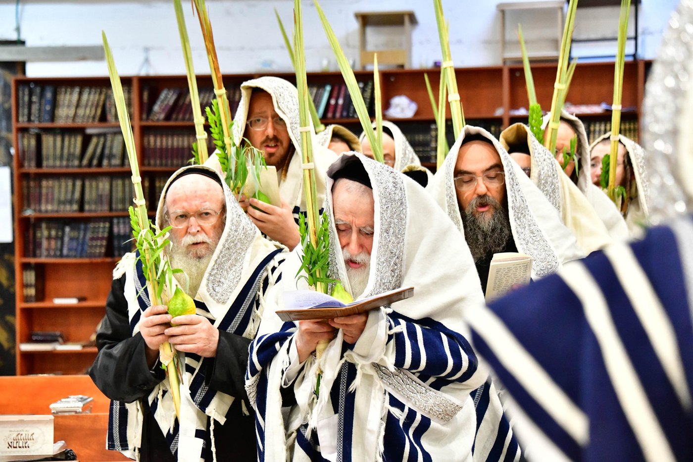 האדמו"ר ממחנובקא בעלזא שליט"א בנטילת לולב