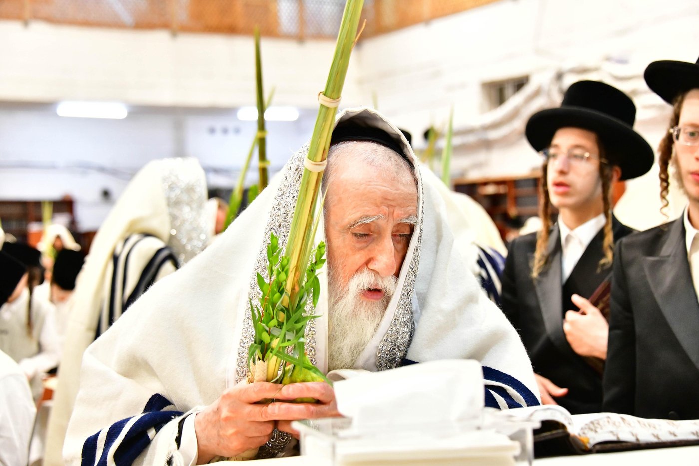 האדמו"ר ממחנובקא בעלזא שליט"א בנטילת לולב