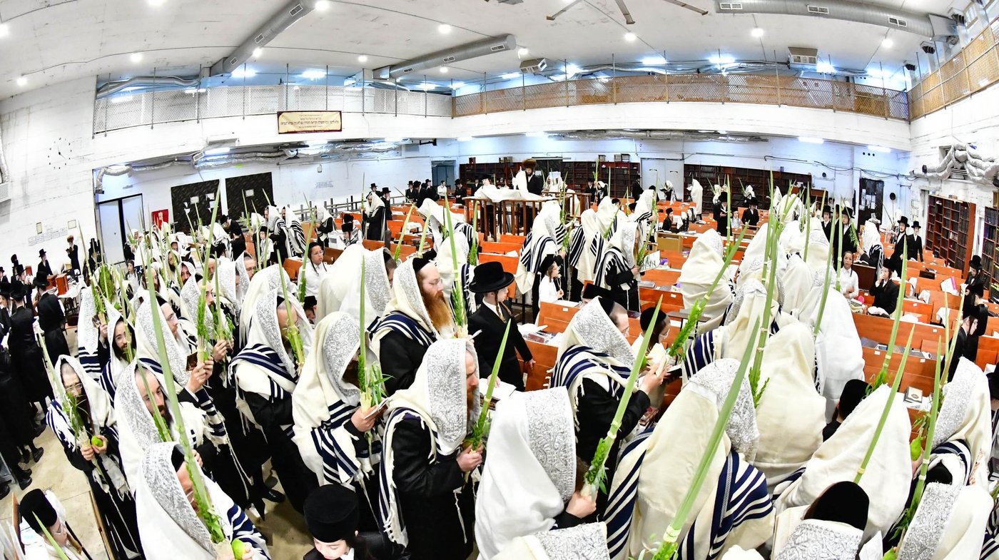 האדמו"ר ממחנובקא בעלזא שליט"א בנטילת לולב