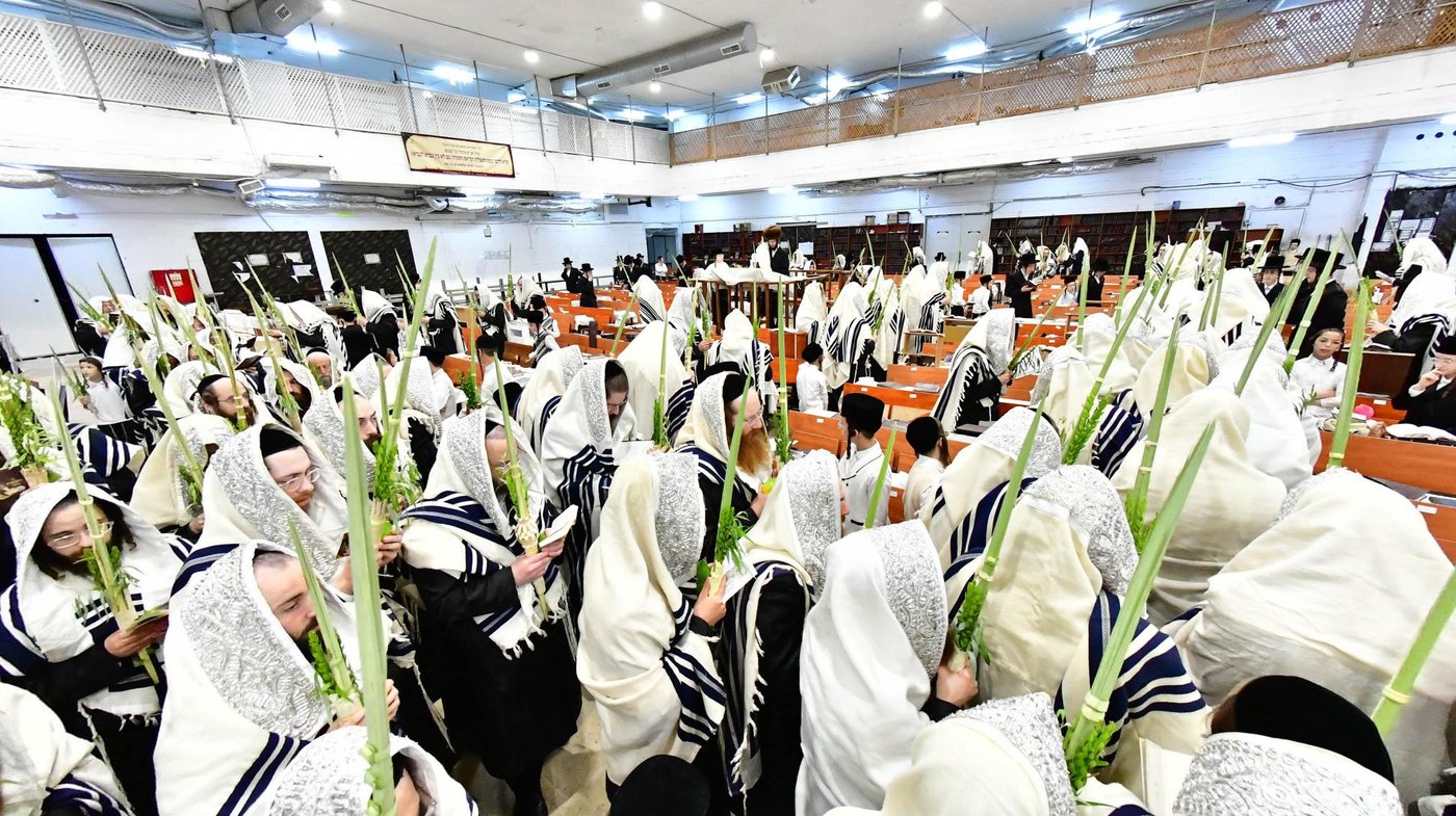 האדמו"ר ממחנובקא בעלזא שליט"א בנטילת לולב
