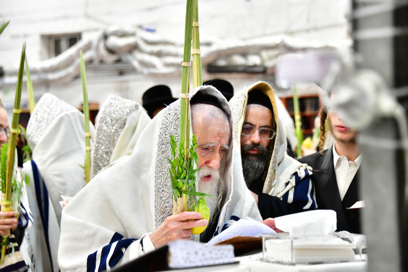 האדמו"ר ממחנובקא בעלזא שליט"א בנטילת לולב