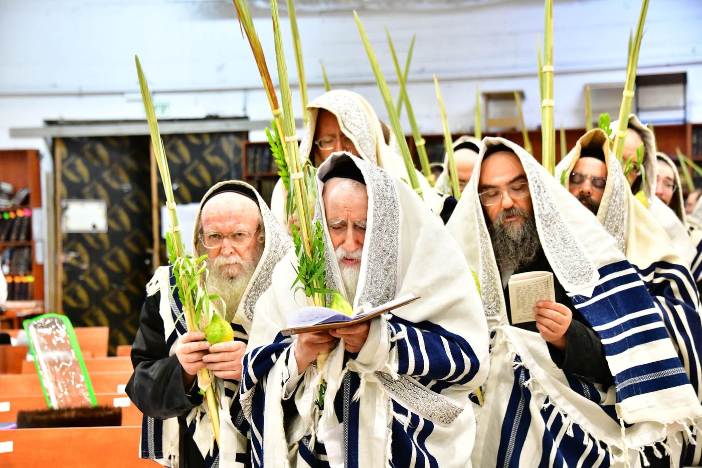 האדמו"ר ממחנובקא בעלזא שליט"א בנטילת לולב