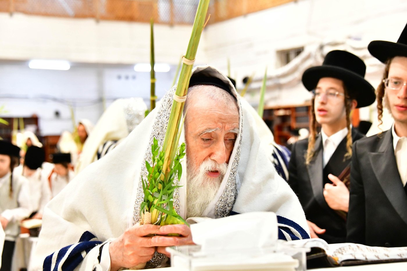 האדמו"ר ממחנובקא בעלזא שליט"א בנטילת לולב