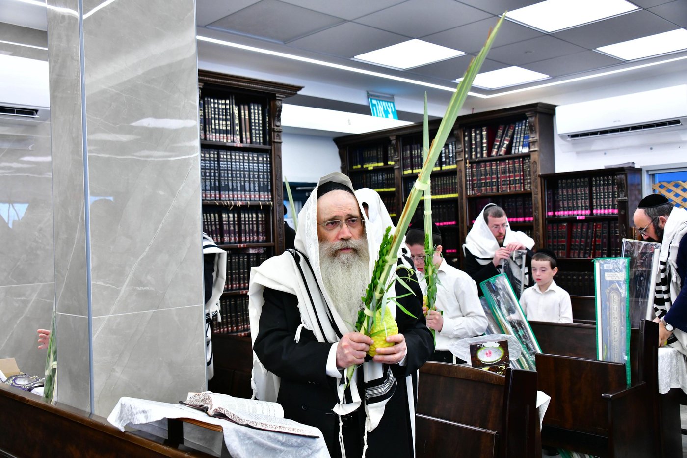 הגר"ש שטיינמן שליט"א בנטילת לולב | צילום: שוקי לרר